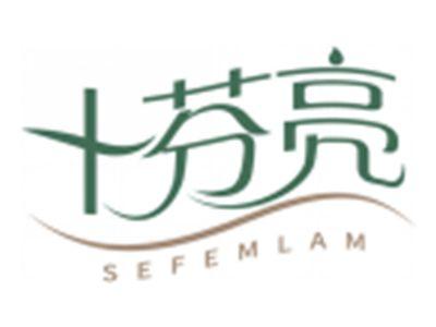 十芬亮SEFEMLAM