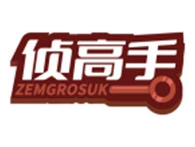 侦高手ZEMGROSUK