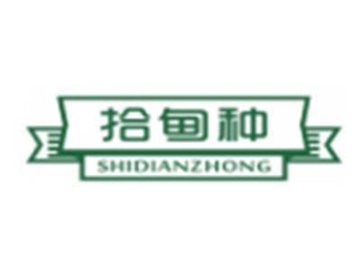 拾甸种SHIDIANZHONG