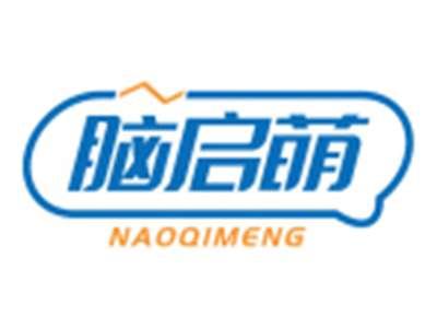 脑启萌NAOQIMENG