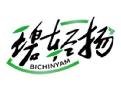 碧轻扬BICHINYAM