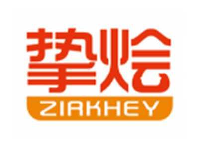 挚烩ZIRKHEY