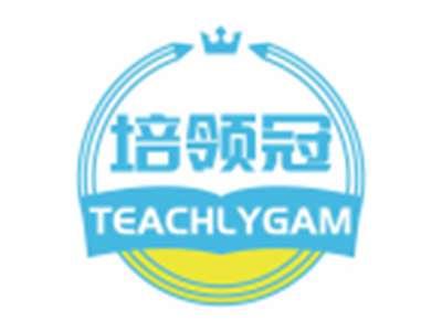 培领冠TEACHLYGAM