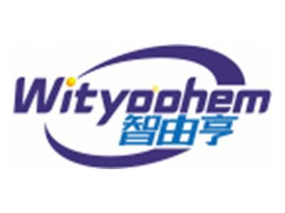 智由亨WITYOOHEM