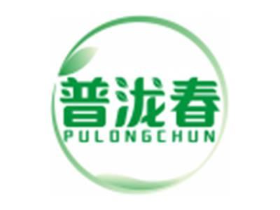 普泷春PULONGCHUN