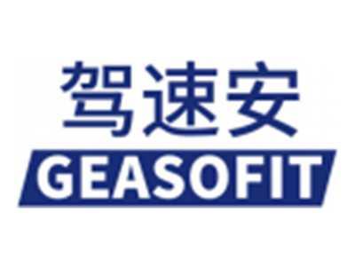 驾速安GEASOFIT