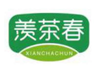 羡茶春XIANCHACHUN