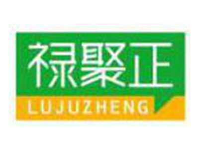 禄聚正LUJUZHENG